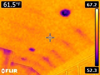 thermal imaging Belleville MI