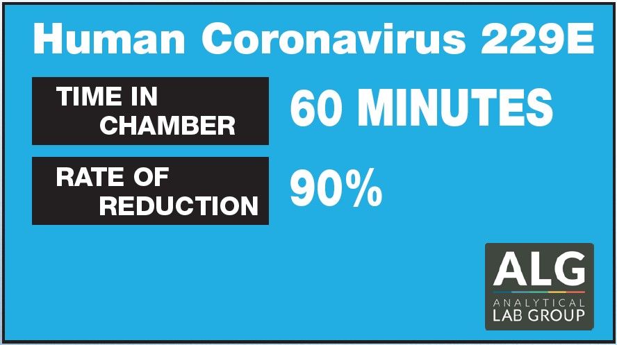 human coronavirus 229e Southfield MI